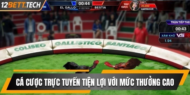 Cá cược trực tuyến tại nhà cái tiện lợi và mức thưởng luôn cao