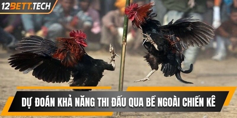 Dự đoán khả năng thi đấu qua bề ngoài chiến kê đơn giản