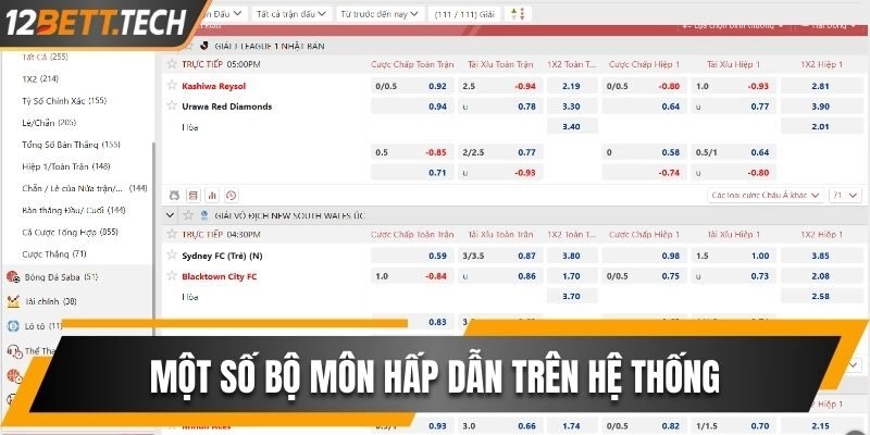 Một số bộ môn hấp dẫn nhất định đặt cược trên hệ thống