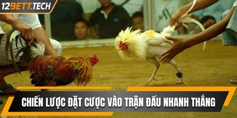 Một số chiến lược đặt cược vào trận đấu nhanh thắng