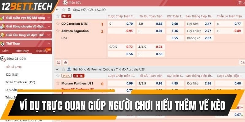 Tìm hiểu ví dụ trực quan giúp người chơi hiểu thêm về kèo