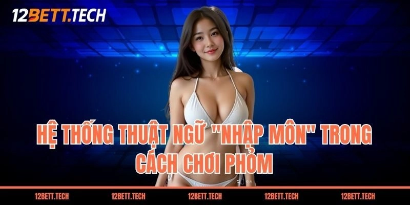 Hệ thống thuật ngữ "nhập môn" trong cách chơi phỏm